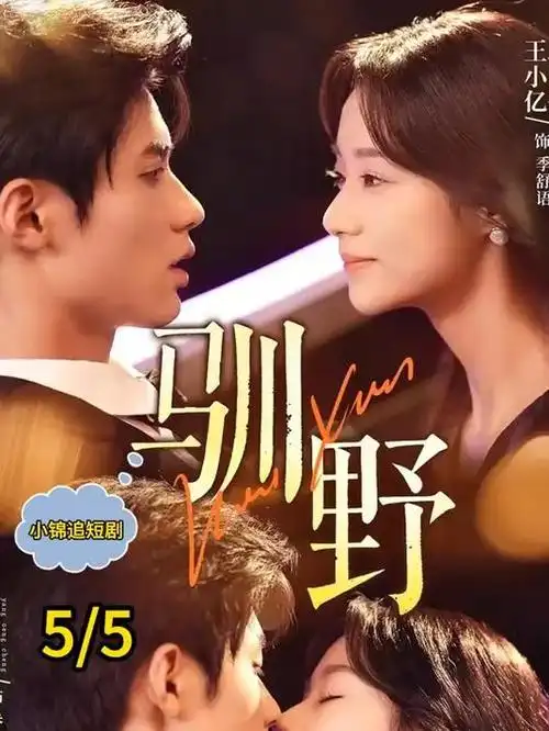 山海情 排行图